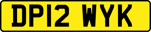 DP12WYK