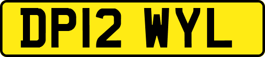 DP12WYL