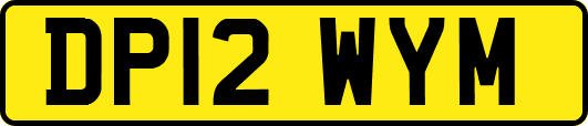 DP12WYM