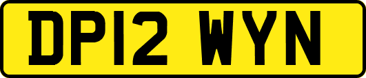 DP12WYN