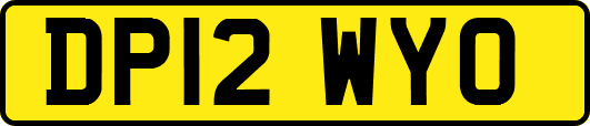 DP12WYO