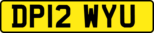 DP12WYU