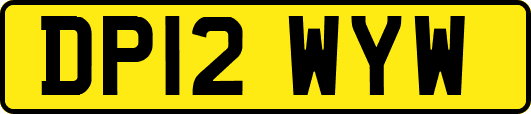 DP12WYW