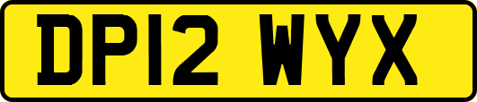 DP12WYX