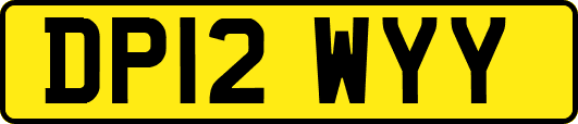 DP12WYY