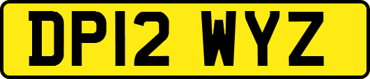 DP12WYZ
