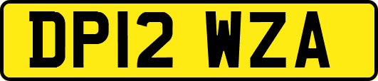 DP12WZA