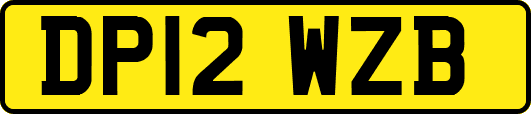 DP12WZB