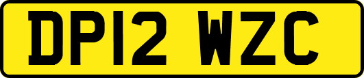 DP12WZC