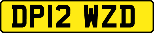 DP12WZD