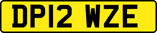 DP12WZE