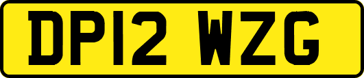 DP12WZG