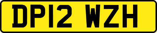 DP12WZH