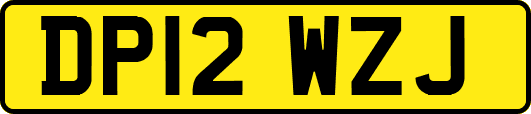 DP12WZJ