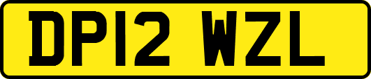 DP12WZL