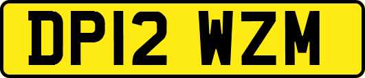 DP12WZM