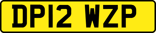 DP12WZP