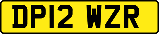 DP12WZR