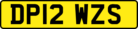 DP12WZS