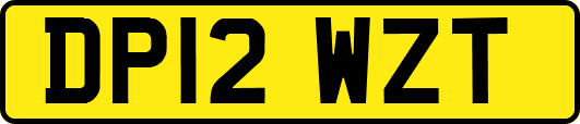 DP12WZT