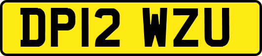DP12WZU