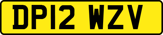 DP12WZV