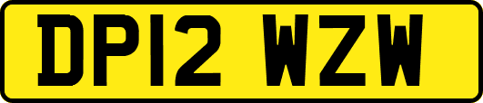 DP12WZW