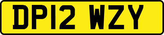 DP12WZY