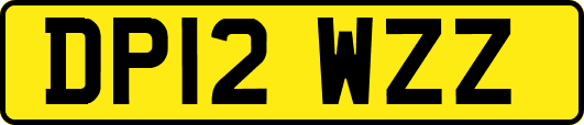 DP12WZZ