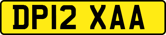 DP12XAA