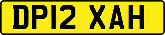 DP12XAH