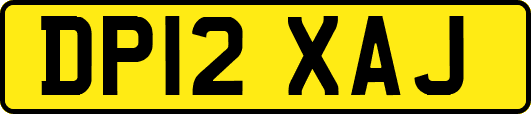 DP12XAJ