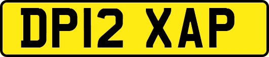 DP12XAP
