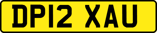 DP12XAU