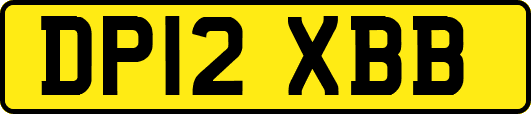 DP12XBB