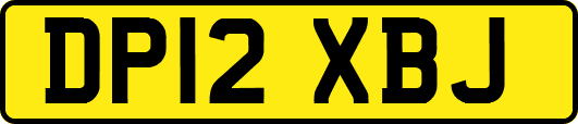 DP12XBJ