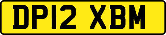 DP12XBM