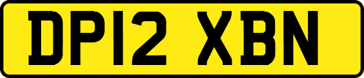 DP12XBN