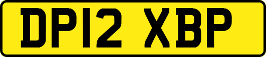 DP12XBP