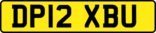 DP12XBU