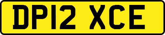 DP12XCE