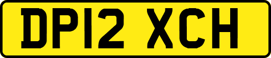 DP12XCH