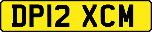 DP12XCM