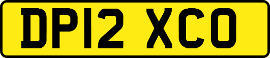 DP12XCO