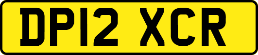 DP12XCR