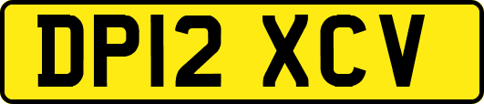 DP12XCV