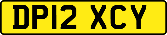 DP12XCY