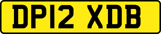 DP12XDB