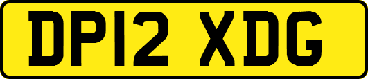 DP12XDG