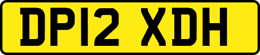 DP12XDH